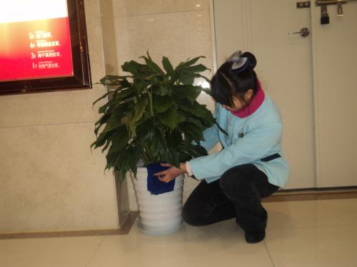 上海專業(yè)保潔服務(wù)公司 上海專業(yè)保潔服務(wù)公司